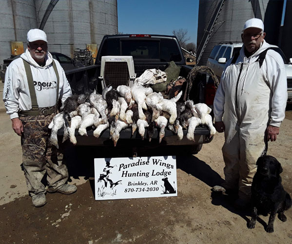 Guided Goose Hunt in Arkansas